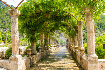 Mallorca. Water fountains alley in Alfabia Gardens, Jardines de Alfabia, Mallorca, Balearic Islands, Spain. Travel destination concept