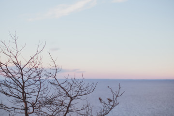 View from a hill on colorfull sunset with silhouette of branchs of the tree