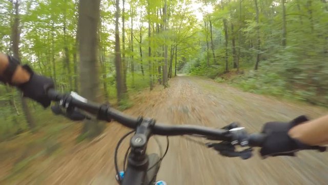 Mountain bike riding in green woods on double track long road. Forest extreme speed cycling, first person perspective view POV. Gimbal stabilized video GOPRO HERO4 4K.
