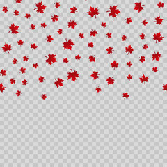 Falling maple leaves on transparent background. Vector.