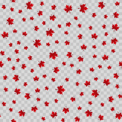 Seamless pattern with maple leaves on transparent background. Vector.