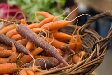 Rustic fresh organic carrots shallow depth of field