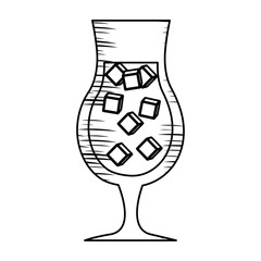 sketch of cocktail drink with ice cubes icon over white background, vector illustration
