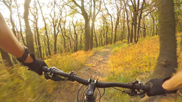 Downhill mountain biking first person point of view on bike trail in summer woods. Forest extreme speed riding, first person perspective view POV. Gimbal stabilized video GOPRO HERO4 4K.