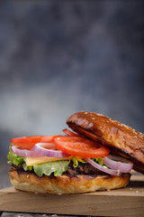 Freshly cooked hamburger with vegetables and cutlet. Home-made sandwich  with space for text, closeup