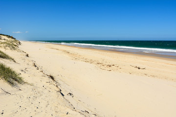 Fototapeta na wymiar Sand dunes and Surf beach on South Stradbroke Island in Queensland, Australia.