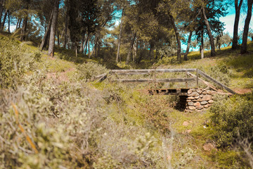 Bridge