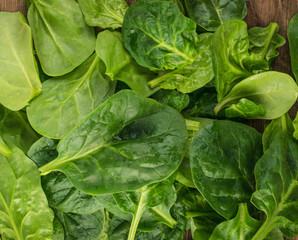 Fresh Spinach Leaves