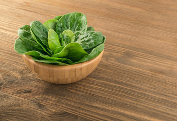 Fresh Spinach Leaves