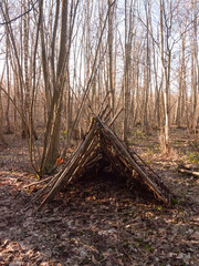 tree branches made into tent in middle of woodland uk