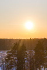 Fototapeta premium Bright beautiful sunset over the winter forest in early spring