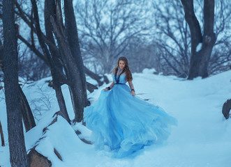 Cinderella, in a luxurious, lush, vintage, and fashionable blue dress that flutters on the run,...