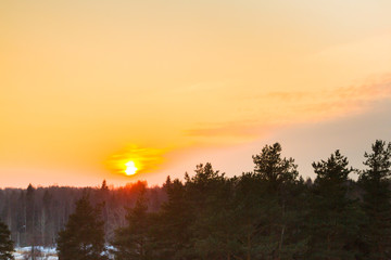 Bright beautiful sunset over the winter forest in early spring