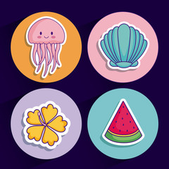 icon set of shell and cute concept over colorful circles and blue background, vector illustration