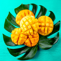 Creative layout made of summer tropical fruits mango and tropical leaves on turquoise background....