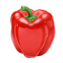 Red Bell Pepper Illustration