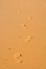 Fototapeta na wymiar Footprints in the sand.