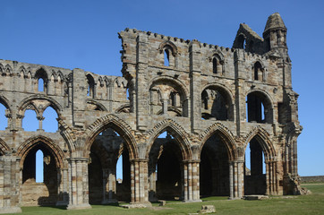 Fototapeta premium Ruins of the monastery in Whitby
