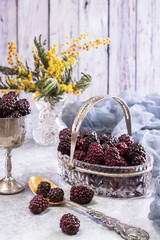 still life of blackberries in a vase