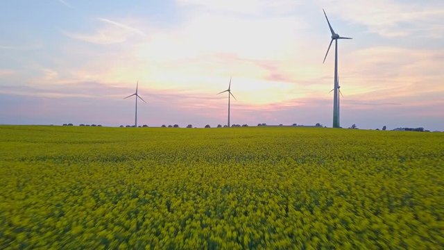Renewable clean energy from wind farm with windmills. Aerial drone shot of wind turbines at sunset over yellow rape flowers field. Power generators, sustainable energy business concept.