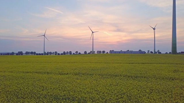 Renewable clean energy from wind farm with windmills. Aerial drone shot of wind turbines at sunset over yellow rape flowers field. Power generators, sustainable business concept.