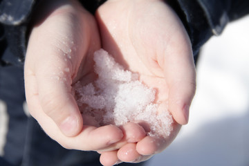 Fototapeta premium snow melts in the hands of the child