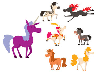 Fototapeta premium Horse pony stallion vector breeds color farm equestrian mammal domestic animal mane zoo character illustration.