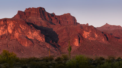 Superstition Cougar Shadow