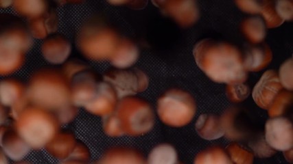 Hazelnuts bouncing against to the camera on a black background in slow motion - Powered by Adobe