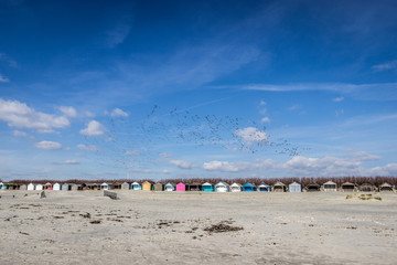 Beach Huts on West Wittering beach