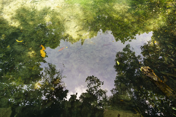 Emerald pool with sunny reflections at Krabi Thailand