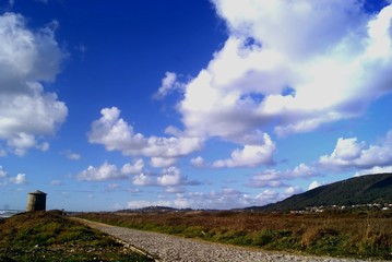 SONY DSC