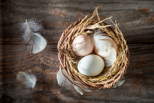 Top view of free range eggs and hen feathers