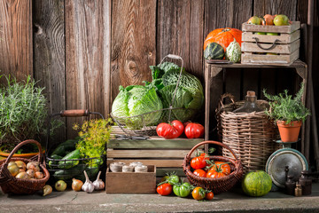 Garden with harvested vegetables and fruits in autumn