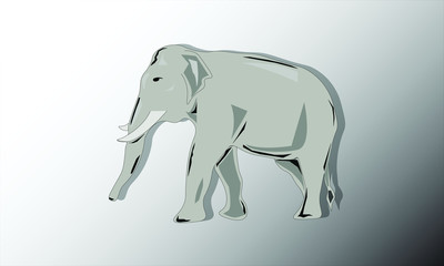 elephant walking to the left