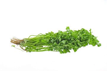 parsley