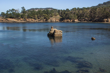 Point Lobos Park