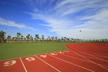 Track and field digital