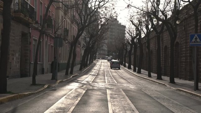 A street with leafless trees