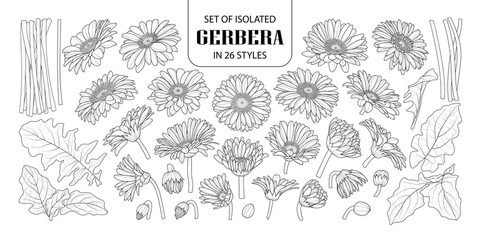 Set of isolated gerbera in 26 styles. - obrazy, fototapety, plakaty