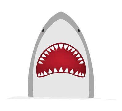 big shark on a white isolated background