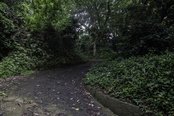 Fototapeta premium Old Mountain Road in Odawara
