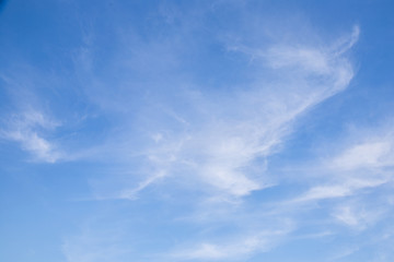 Cirrus clouds on a blue sky