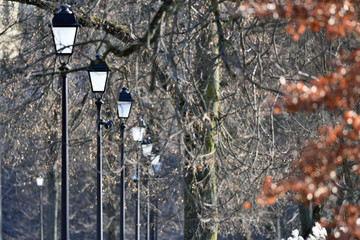 Vintage urban lamps in park