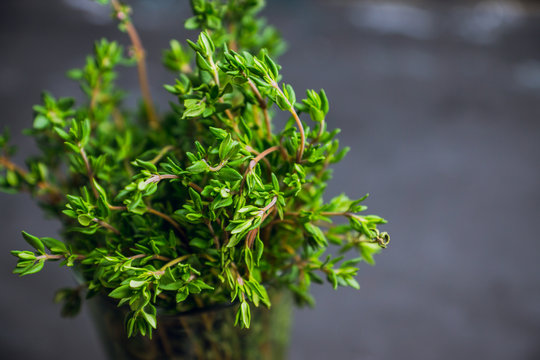 Fresh green thyme in the glass. Selective focus.