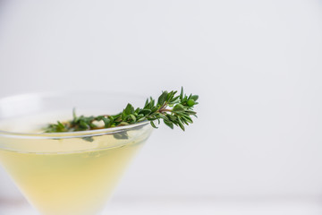 Tasty bitter cocktail with thyme in martini glass. Selective focus.