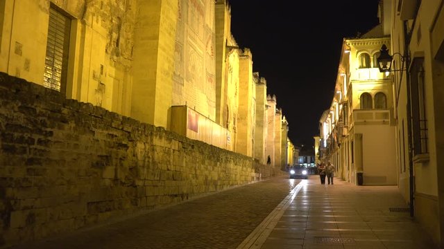 Calle Magistral Gonz&radic;&deg;lez Franc&radic;&copy;s at night