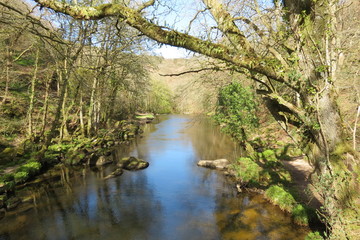 River through Dartmoor National Park