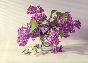 Still life with lilac