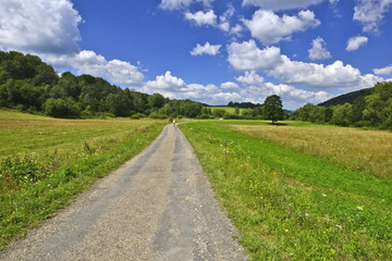 Fototapeta na wymiar Rural country road in a grassy meadow on a blue sky with clouds background